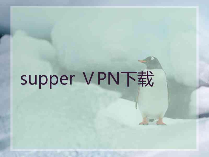 supper ⅤPN下载