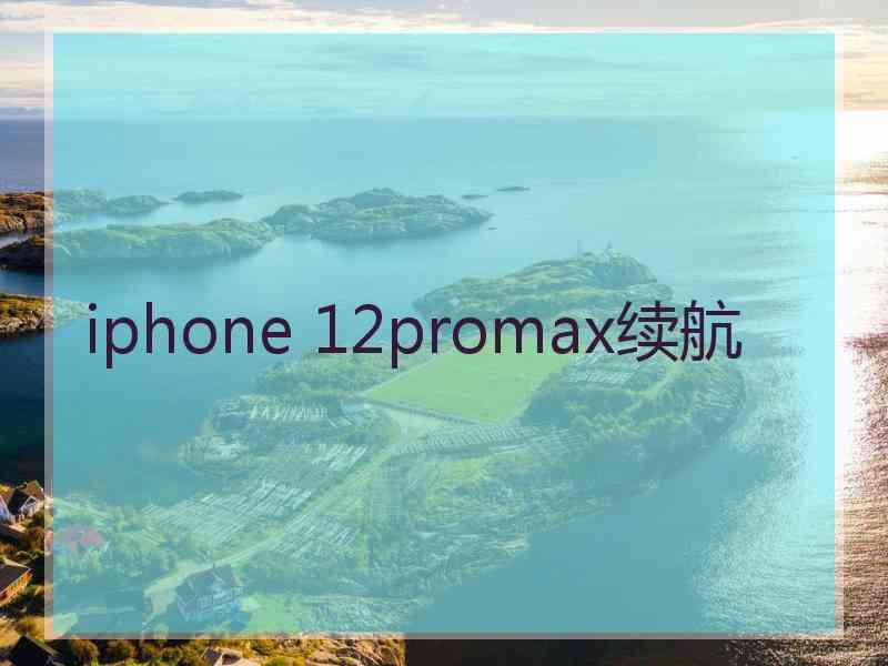 iphone 12promax续航