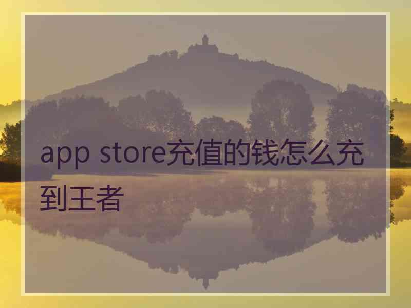 app store充值的钱怎么充到王者