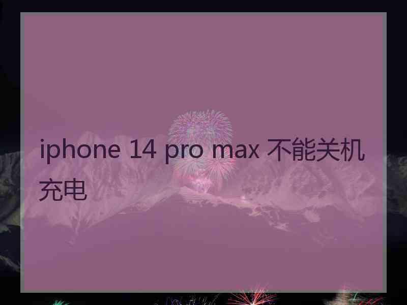 iphone 14 pro max 不能关机充电