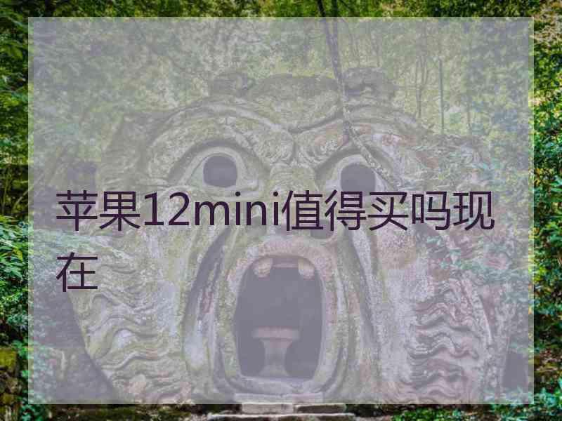 苹果12mini值得买吗现在