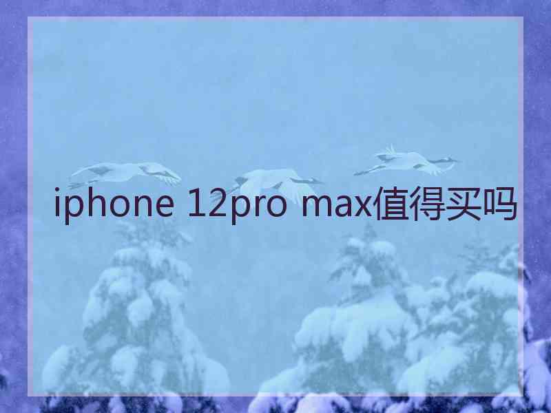 iphone 12pro max值得买吗