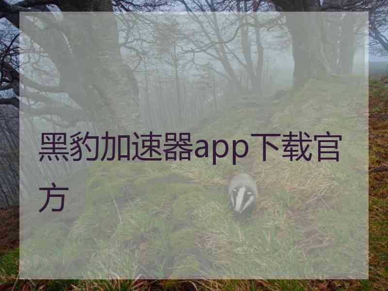黑豹加速器app下载官方