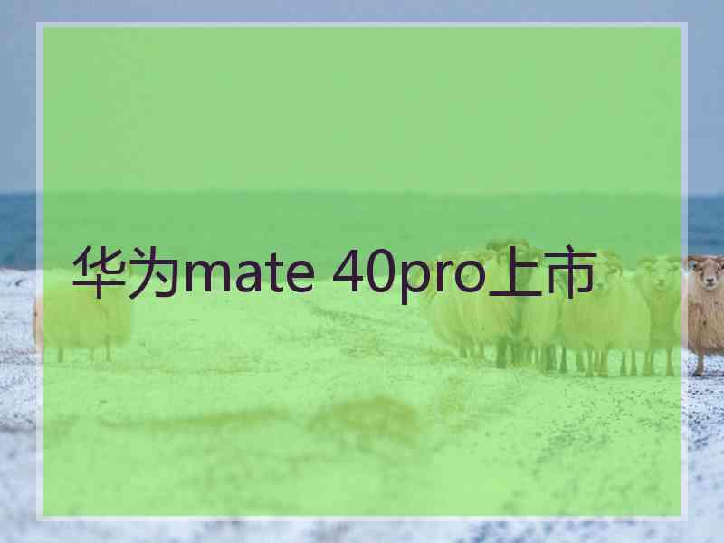 华为mate 40pro上市