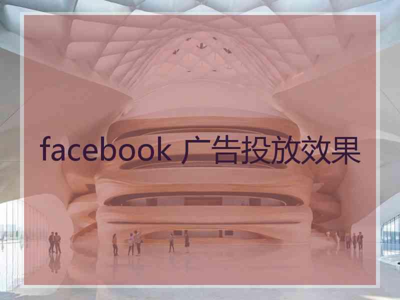 facebook 广告投放效果