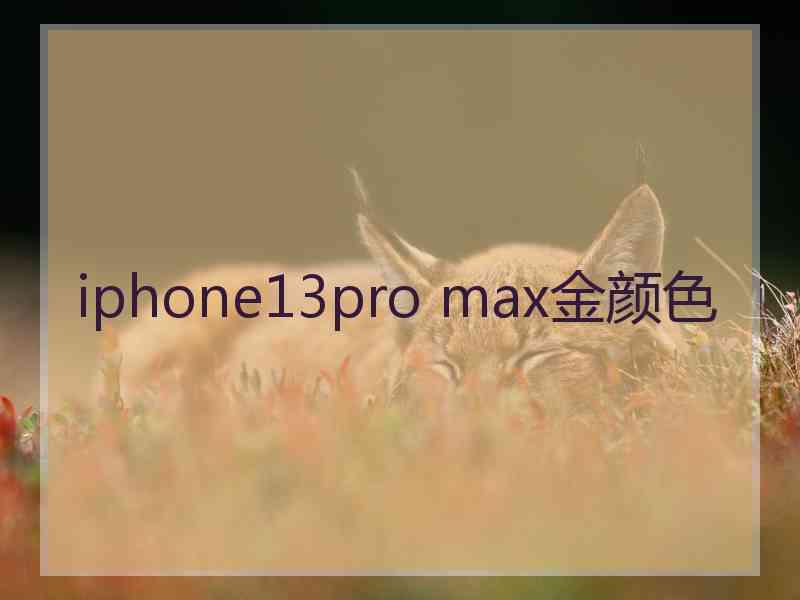 iphone13pro max金颜色