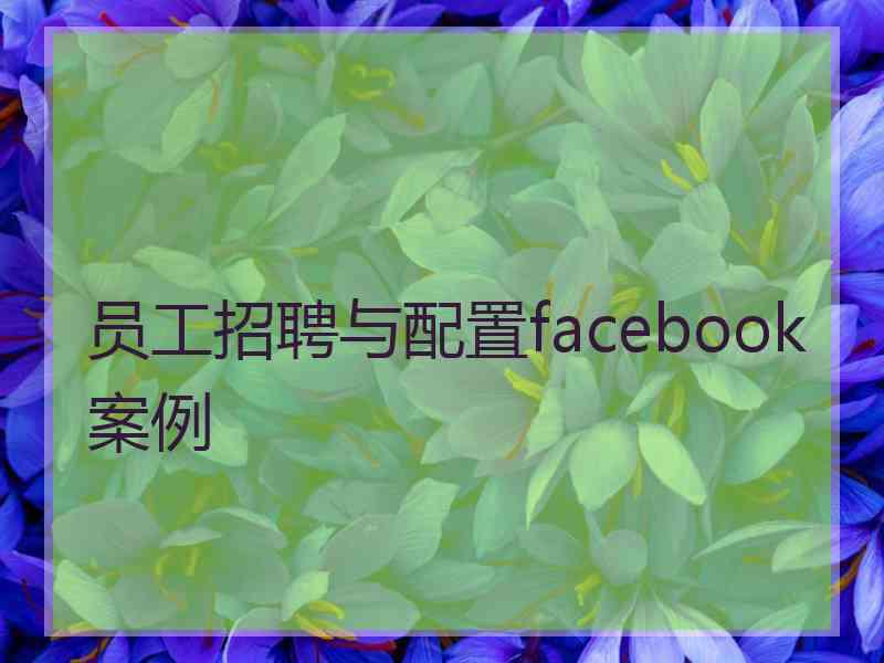 员工招聘与配置facebook案例