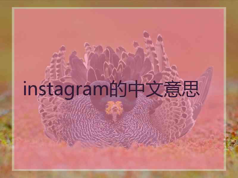 instagram的中文意思