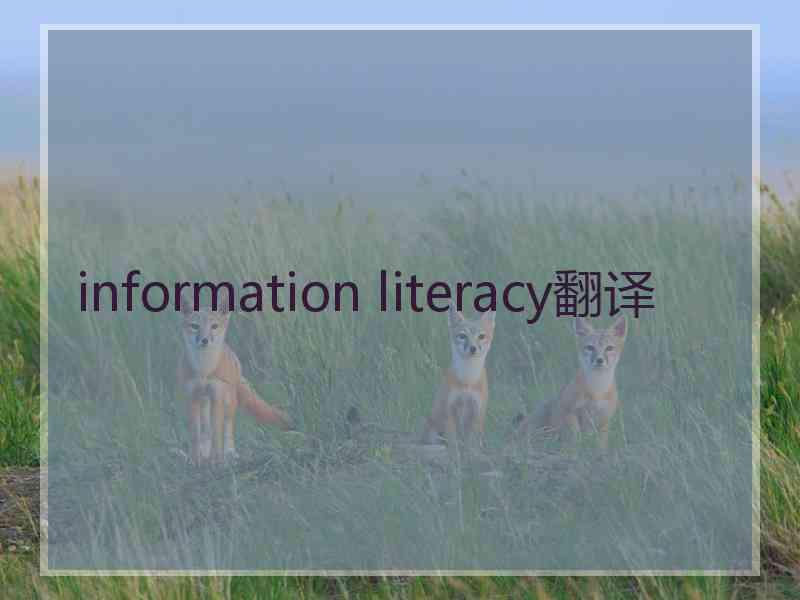 information literacy翻译