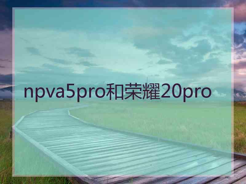 npva5pro和荣耀20pro