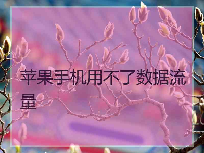 苹果手机用不了数据流量