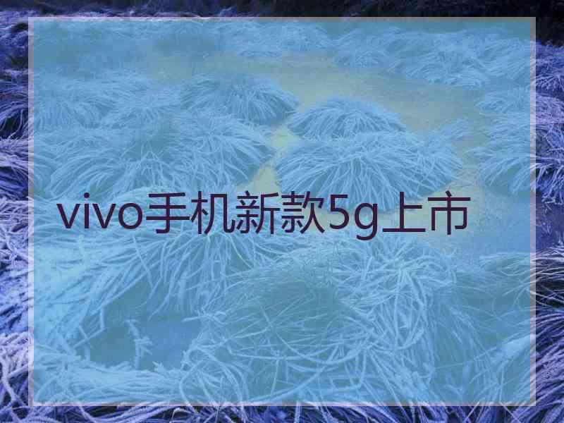 vivo手机新款5g上市