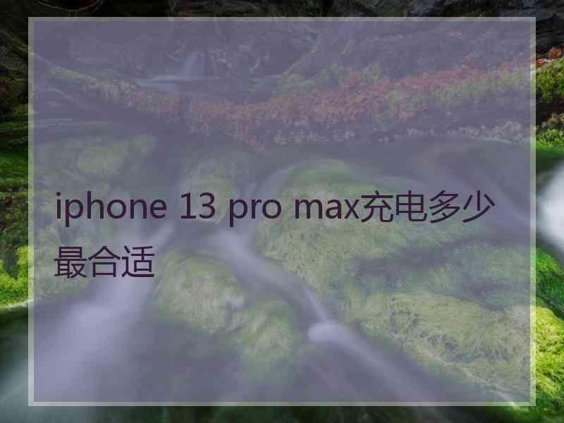 iphone 13 pro max充电多少最合适