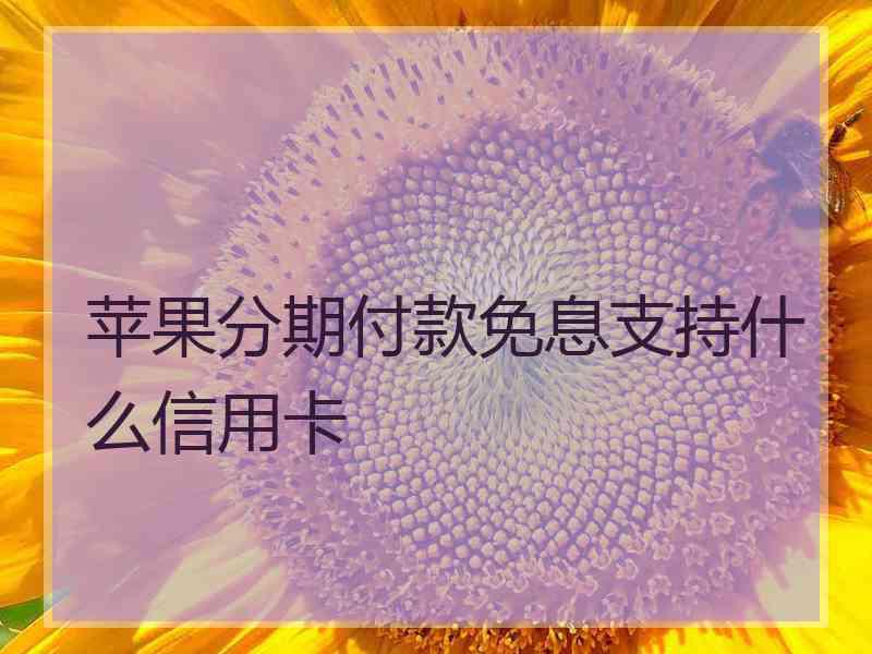 苹果分期付款免息支持什么信用卡