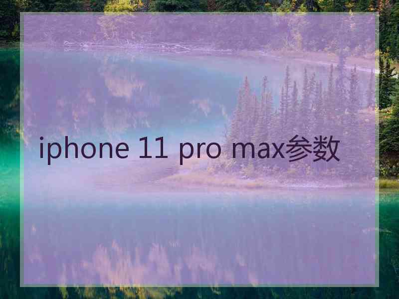 iphone 11 pro max参数