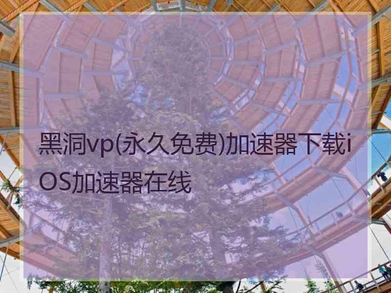 黑洞vp(永久免费)加速器下载iOS加速器在线