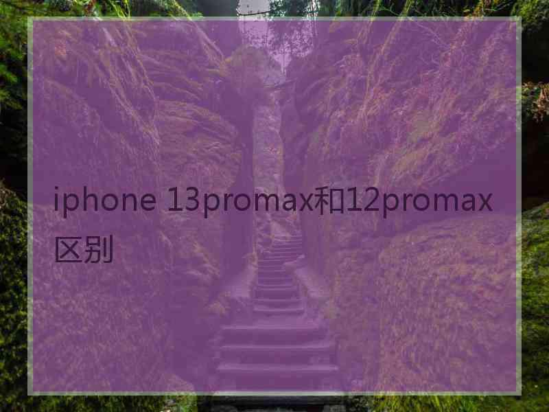 iphone 13promax和12promax区别