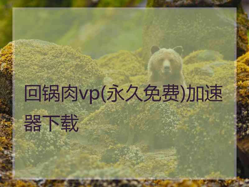 回锅肉vp(永久免费)加速器下载