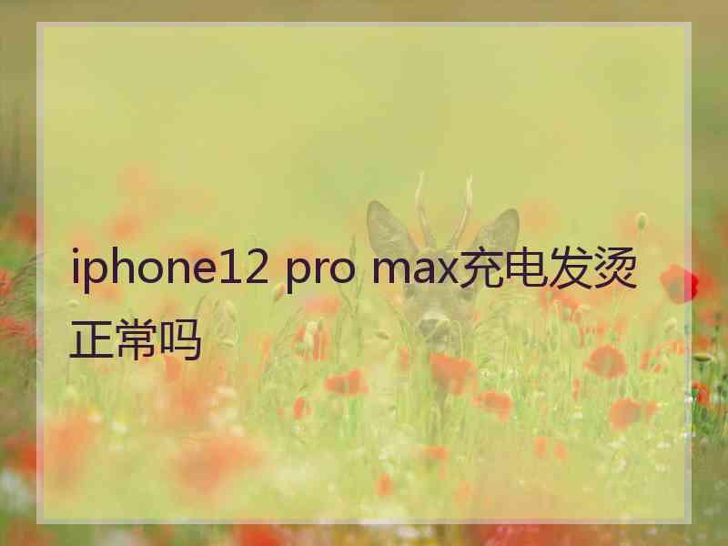 iphone12 pro max充电发烫正常吗