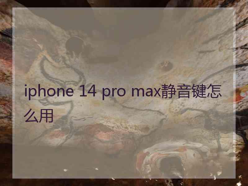 iphone 14 pro max静音键怎么用