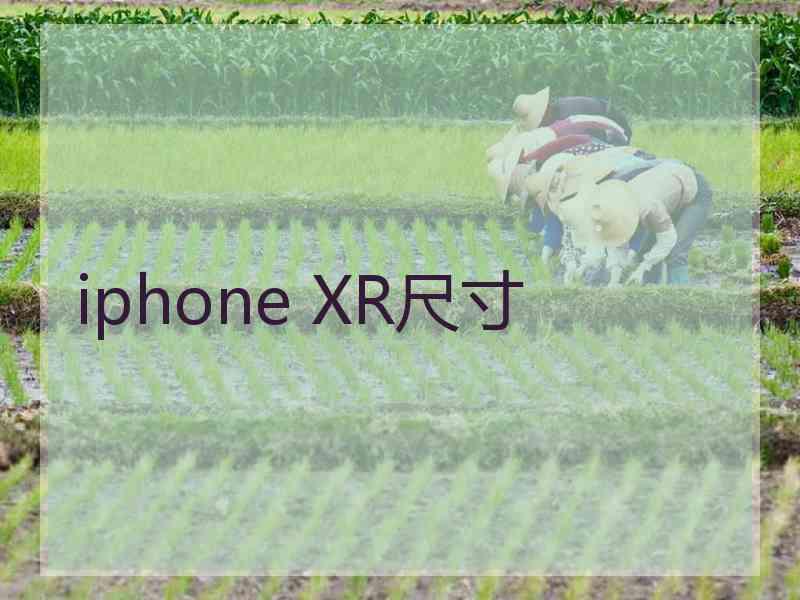 iphone XR尺寸