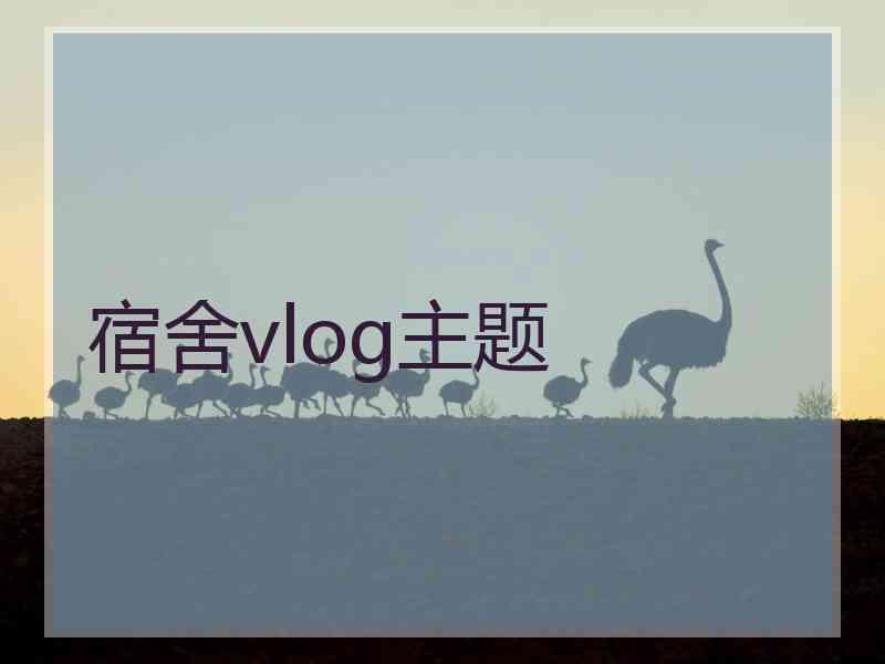 宿舍vlog主题