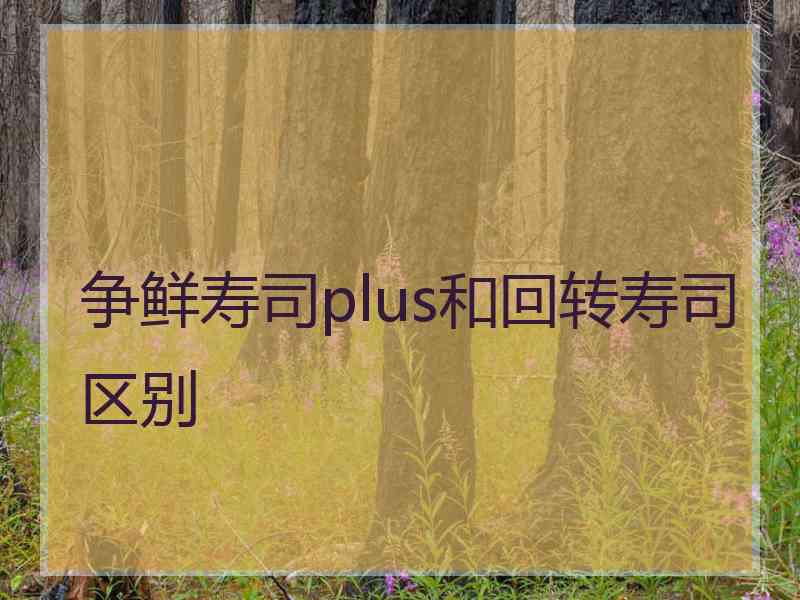 争鲜寿司plus和回转寿司区别