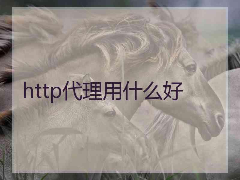 http代理用什么好