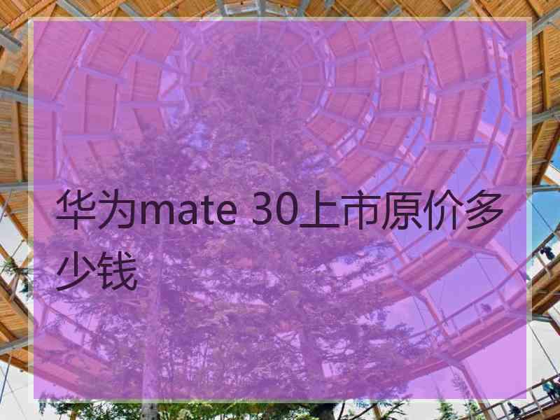 华为mate 30上市原价多少钱