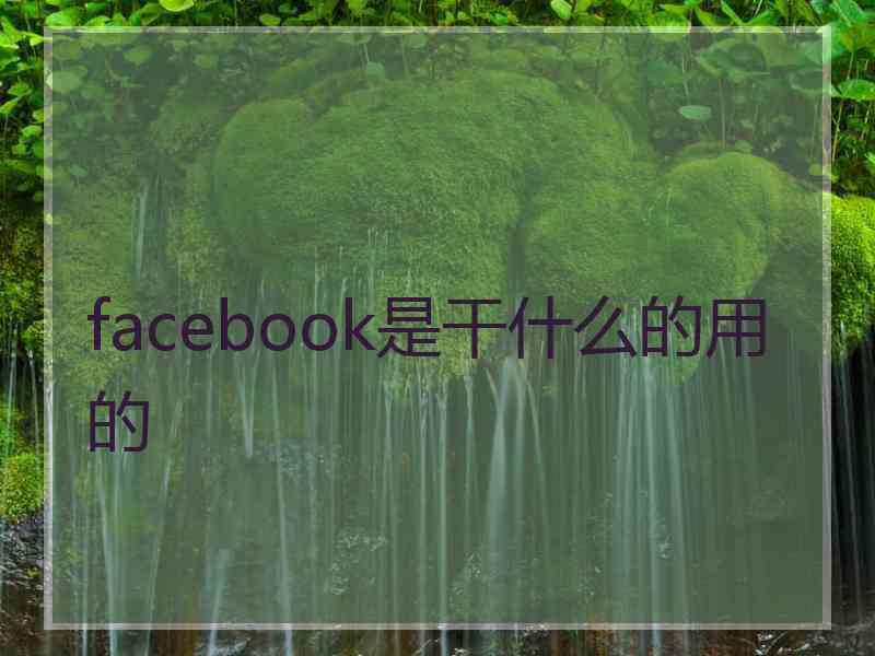 facebook是干什么的用的