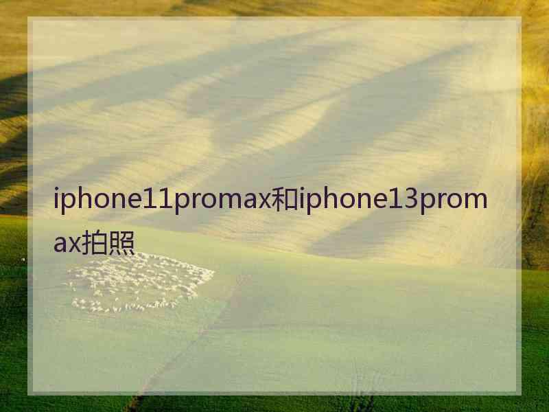 iphone11promax和iphone13promax拍照