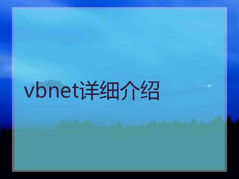 vbnet详细介绍