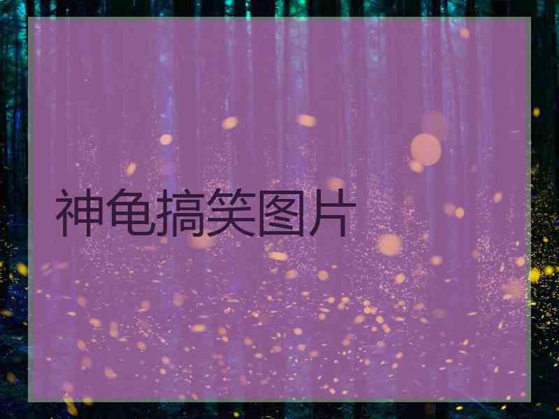 神龟搞笑图片