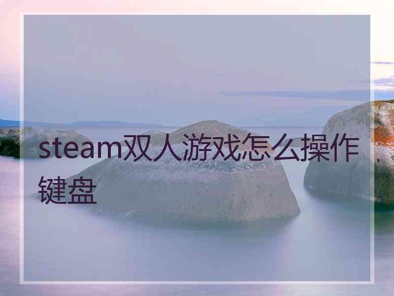 steam双人游戏怎么操作键盘