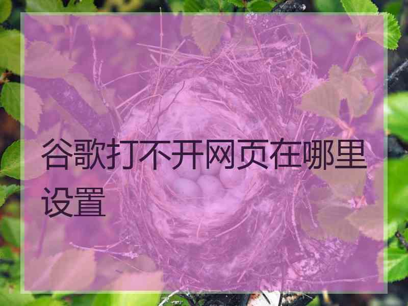 谷歌打不开网页在哪里设置