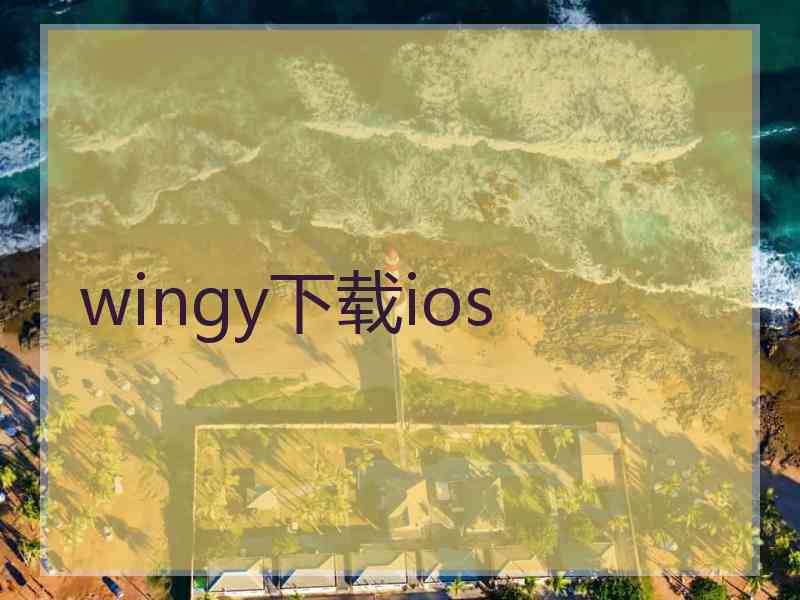 wingy下载ios