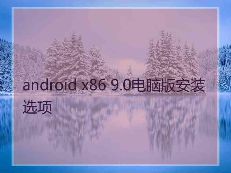 android x86 9.0电脑版安装选项