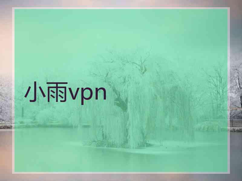 小雨vpn