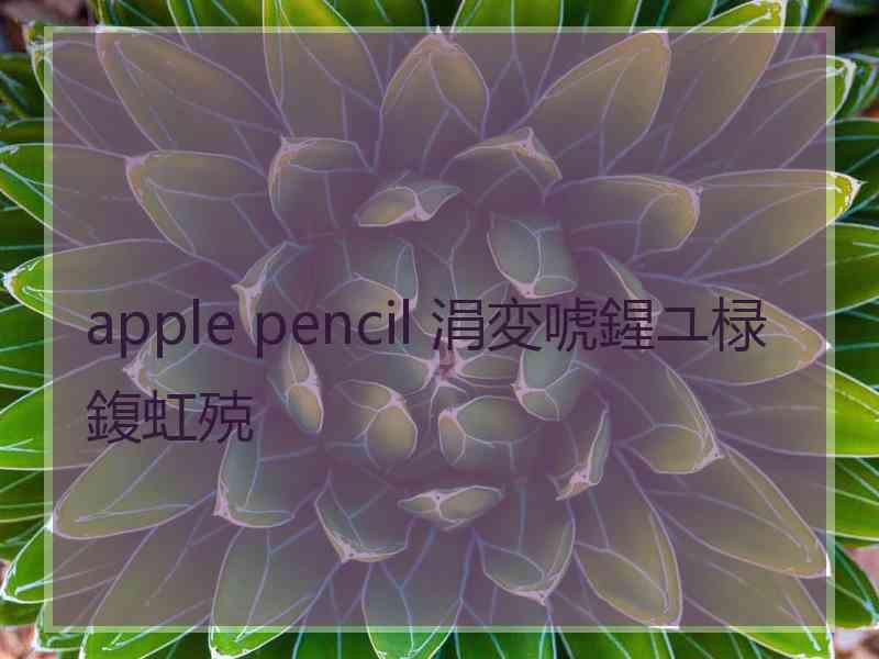 apple pencil 涓変唬鍟ユ椂鍑虹殑