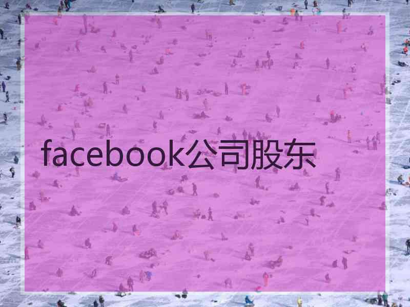 facebook公司股东