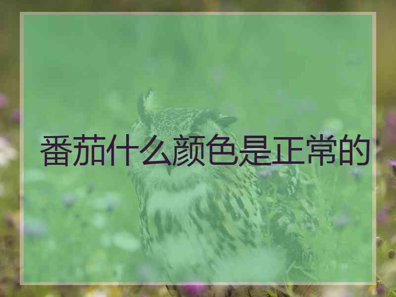 番茄什么颜色是正常的