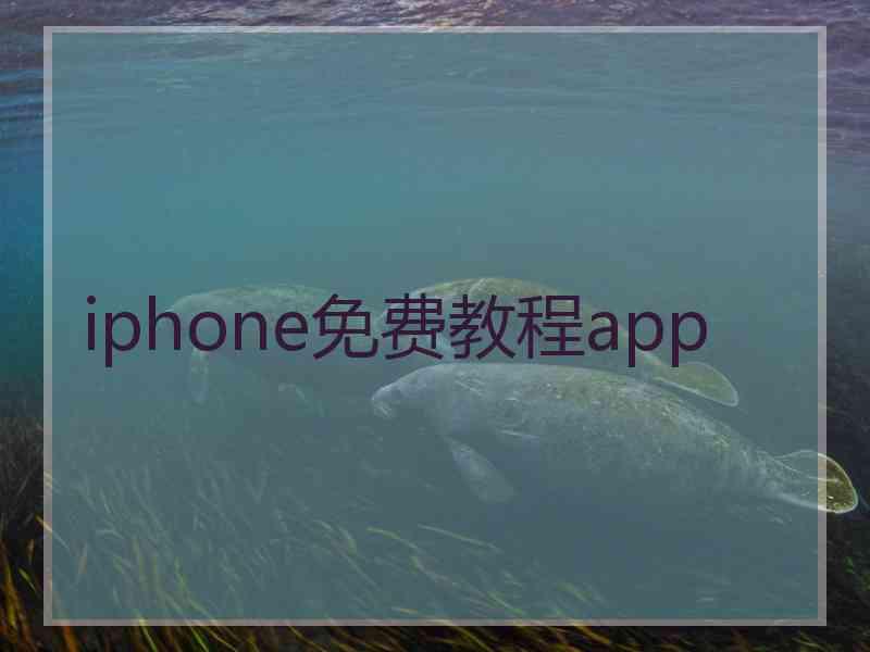 iphone免费教程app