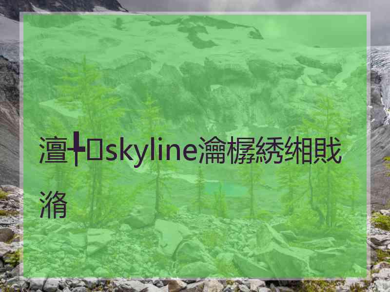 澶╄skyline瀹樼綉缃戝潃