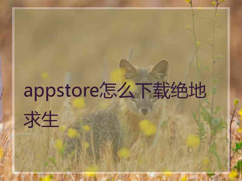 appstore怎么下载绝地求生