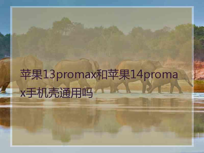 苹果13promax和苹果14promax手机壳通用吗