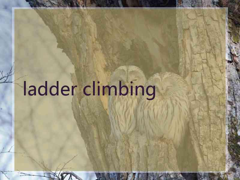 ladder climbing