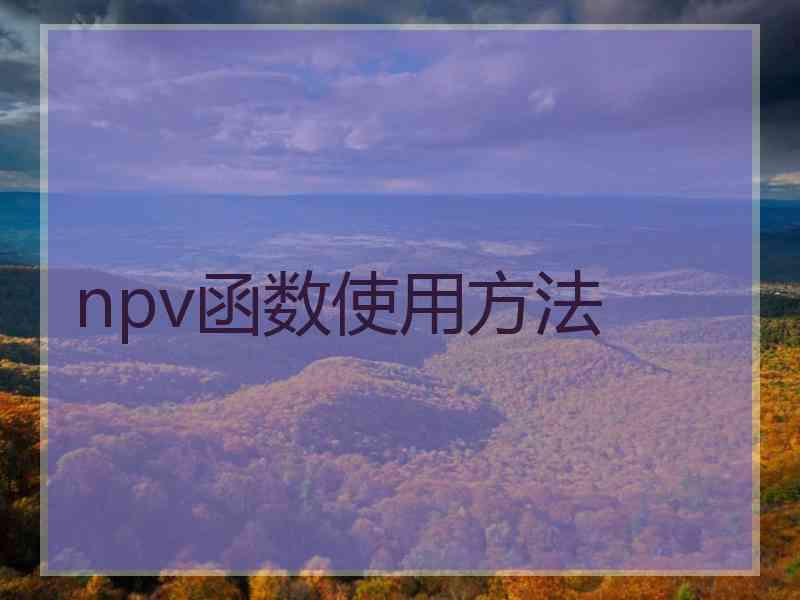 npv函数使用方法