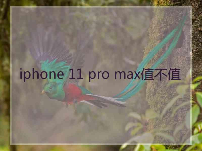 iphone 11 pro max值不值