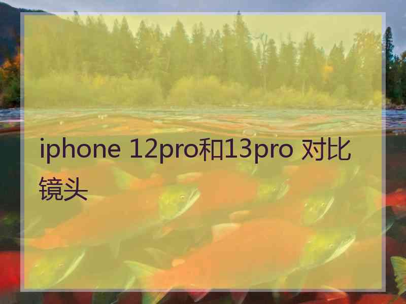 iphone 12pro和13pro 对比镜头