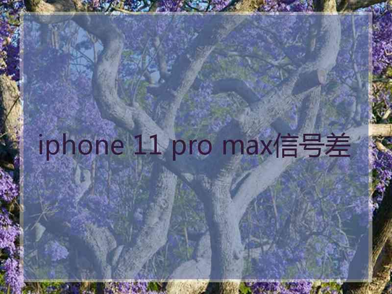 iphone 11 pro max信号差